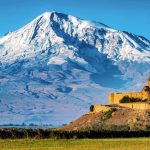 igdirda yetisen ender bitkiler